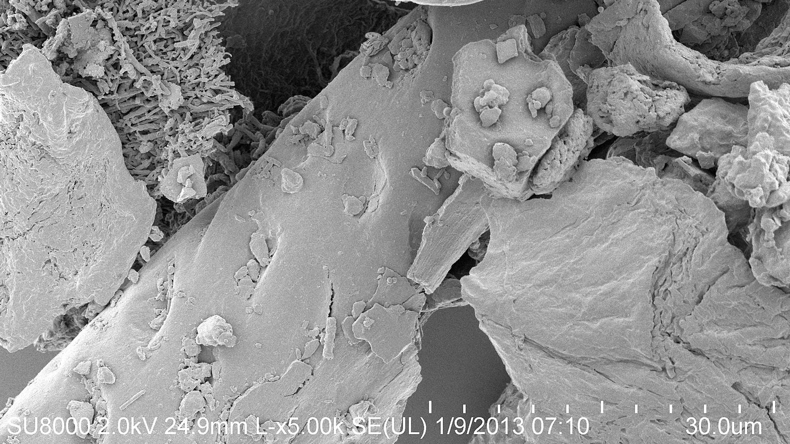 dust particles under microscope